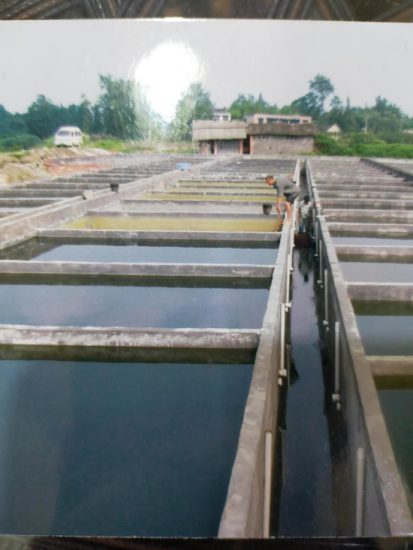 四川新都:民营渔场遭村民哄抢古稀老人上告无门