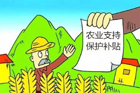 推动惠农政策落实落地,维护群众切身利益