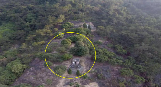 市民举报毁林建墓行为,相关部门为逃避追责回复称:在公办