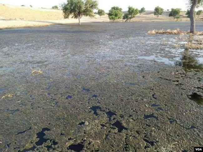 戈拉诺水库受到污染的水,水面上有一层厚厚的杂质。当地人说,这些杂质造成了塔帕卡大规模的盐碱化和水涝。 戈拉诺水库受到污染的水,水面上有一层厚厚的杂质。当地人说,这些杂质造成了塔帕卡大规模的盐碱化和水涝。