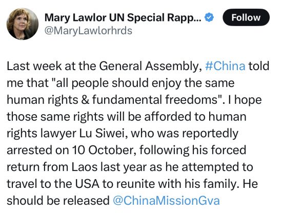 瑪麗·勞勒(Mary Lawlor)在2024年10月22日於社媒X上所發的聲援盧思位內容(X截圖) 瑪麗·勞勒(Mary Lawlor)在2024年10月22日於社媒X上所發的聲援盧思位內容(X截圖)