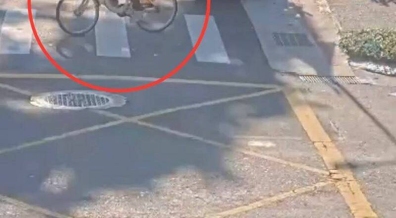 太岁爷头上动土  刺青男法院偷YouBike被逮