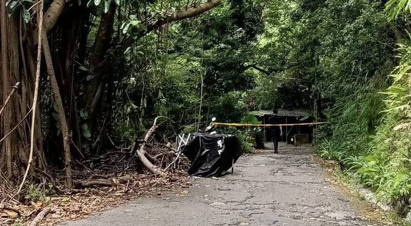 新北和美山步道驚見女屍 運動民眾嚇壞報案