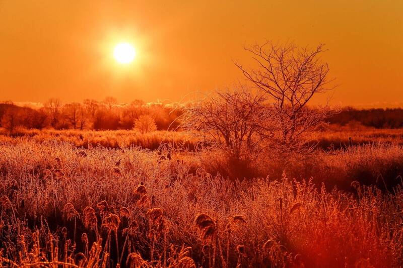 日本北海道东部和北部沿海侧，23日预测气温最高接近摄氏40度。北海道太阳示意图。（欧新社）