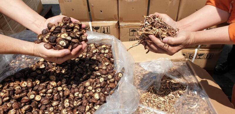 古姓男子借仓库给同行存放千万走私中国香菇被查获。示意图。(资料照) 古姓男子借仓库给同行存放千万走私中国香菇被查获。示意图。(资料照)