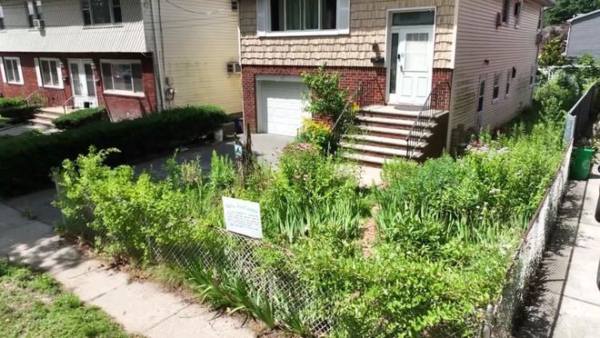 美國紐約一名華裔婦人的庭院因「太丑」，差點被罰2000美元。（擷取自@shanghaidaily/X）