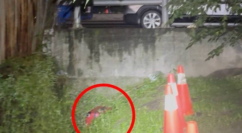 新庄男尸弃尸行李箱遭位移 里民：上周就已丢在水沟内