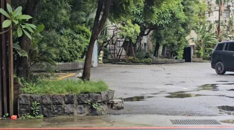 江昱賢保外就醫期間逃逸後，躲藏在桃園市汽車旅館，甚至犯下2起強盜性侵案，最後在汽車旅館落網。（記者鄭淑婷翻攝）