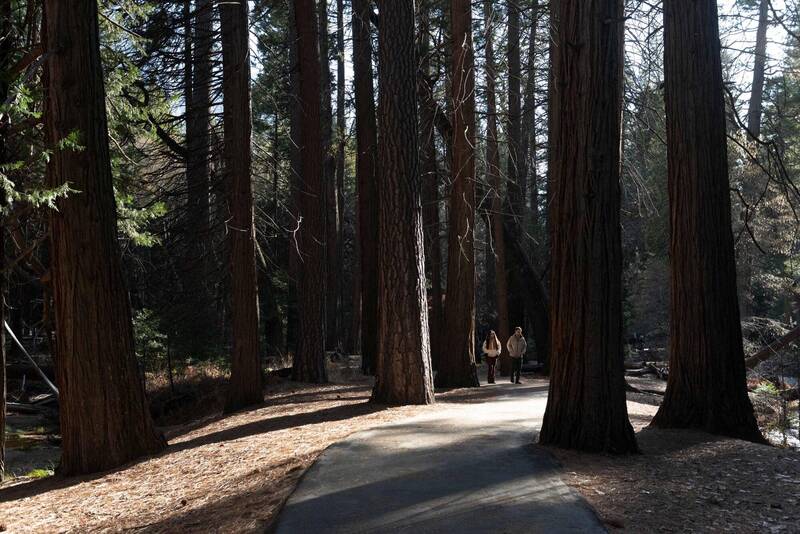 游客在美国加州优胜美地国家公园健行。示意图,非当事人。(法新社资料照) 游客在美国加州优胜美地国家公园健行。示意图,非当事人。(法新社资料照)