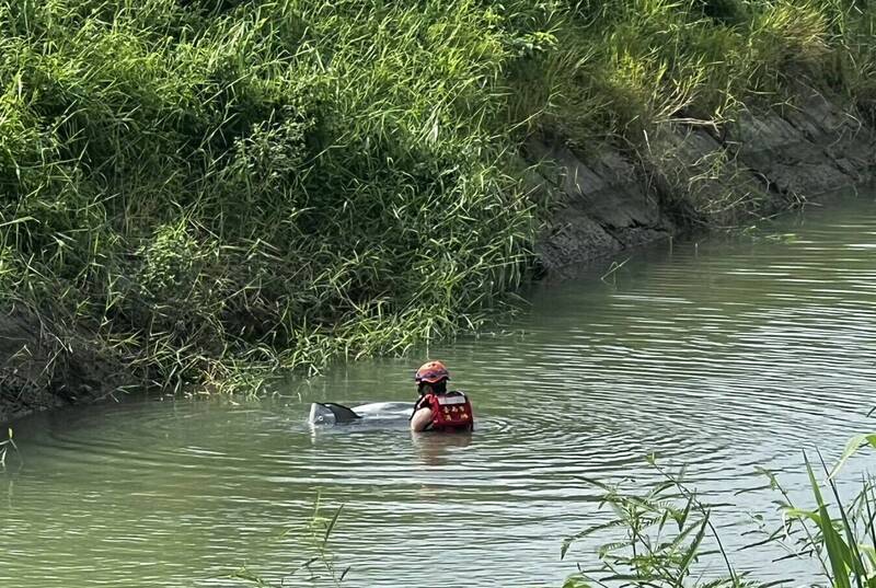 搜救人员在嘉南大圳南干线官田中脇段，将浮尸打捞上岸。（民众提供）