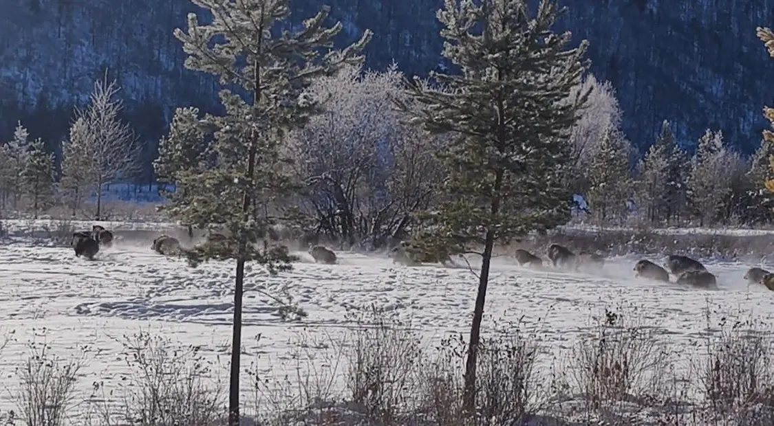 322EF3E89A9D1C0F9BFE79D1CFB466F725A9C565_size159_w1146_h632 322EF3E89A9D1C0F9BFE79D1CFB466F725A9C565_size159_w1146_h632